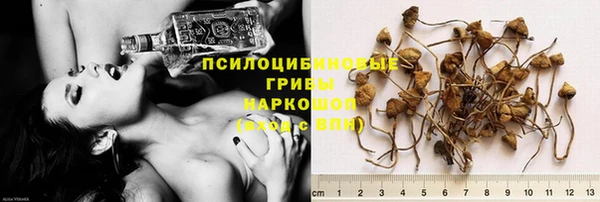 гашиш Арсеньев