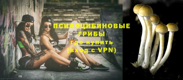 2c-b Армянск