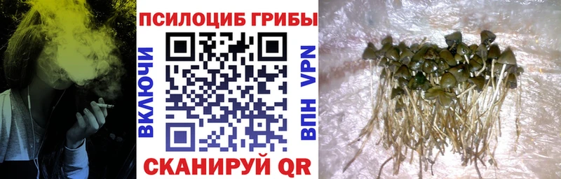Галлюциногенные грибы мухоморы  кракен сайт  Нижний Новгород 