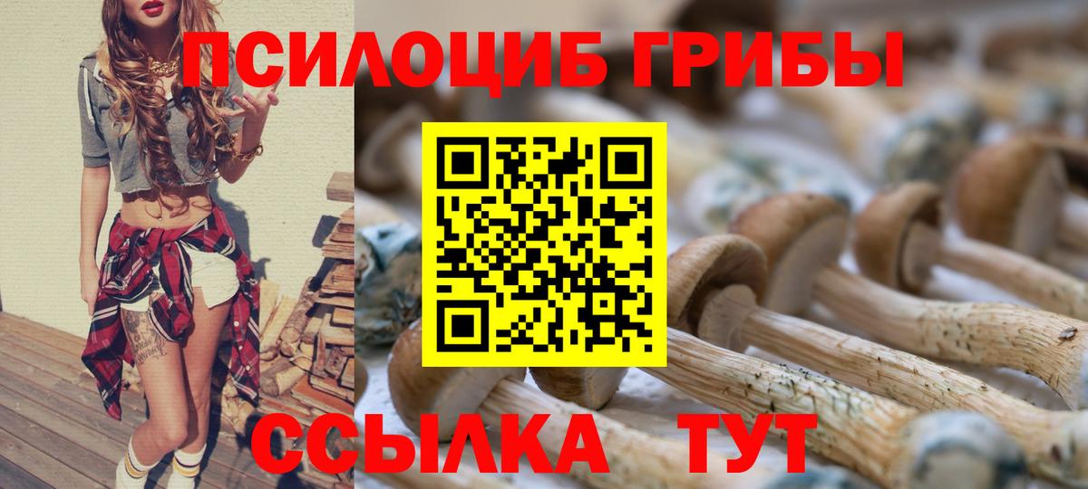 Псилоцибиновые грибы Psilocybine cubensis Нижний Новгород